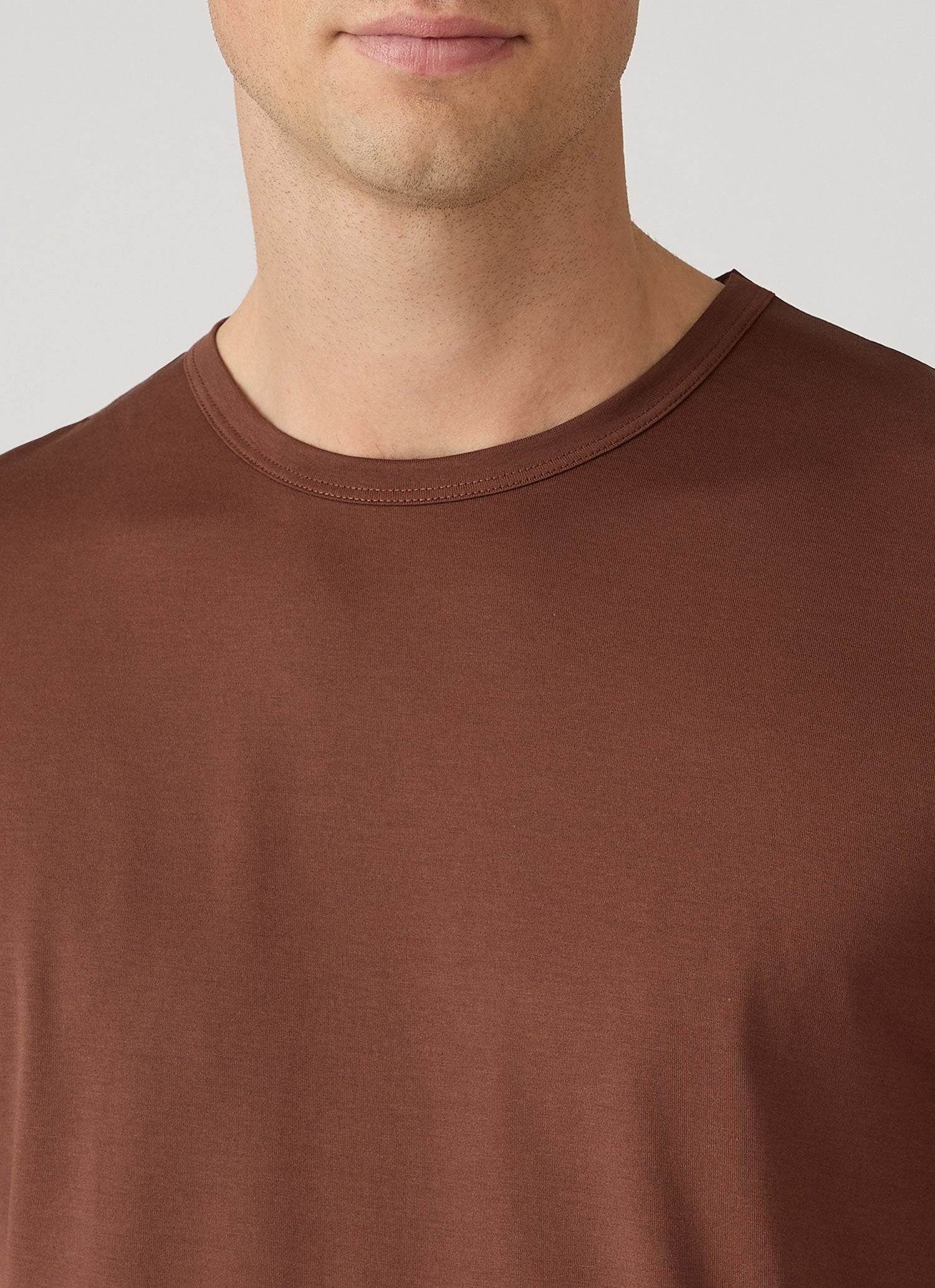 Men's Classic T-shirt in Chestnut