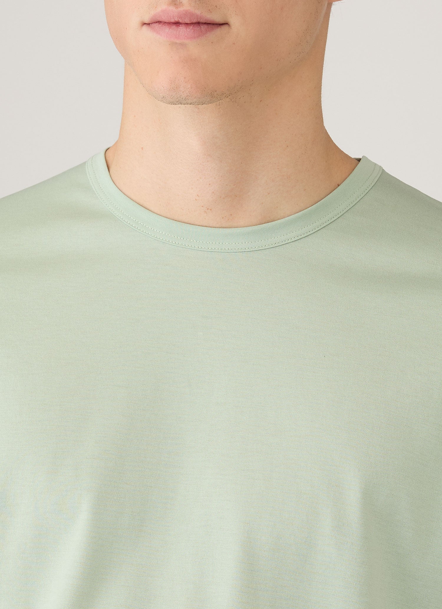 Men's Classic T-shirt in Laurel