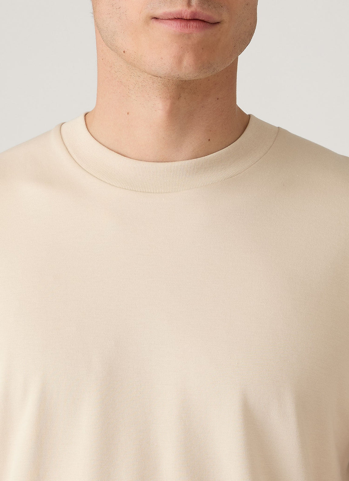 Men's Relaxed Fit Heavyweight T-shirt in Swansdown