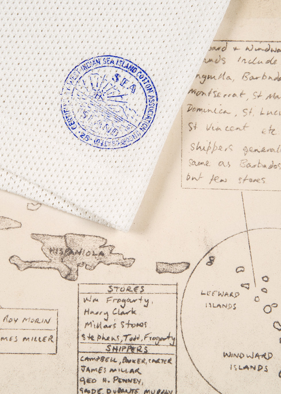 Why is Sea Island Cotton So Special?