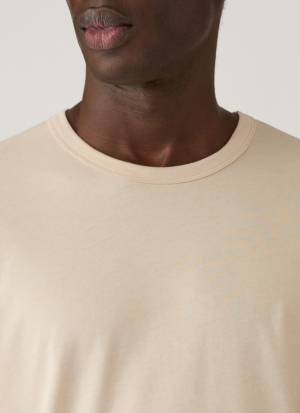 Men's Heavyweight Classic T-shirt in Swansdown
