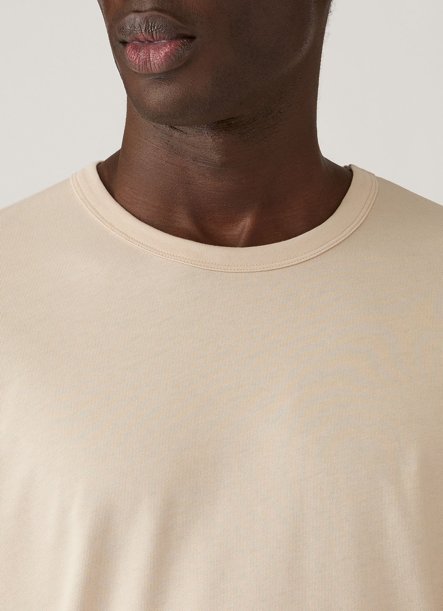 Men's Heavyweight Classic T-shirt in Swansdown